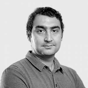 فرزین فردیس